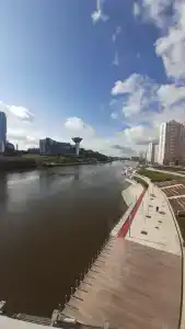 Крокус Стар - 11