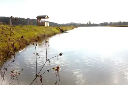 Гордеево-Парк - 7