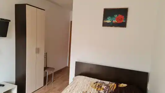 Арт - 13