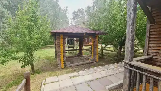 Розовый Фламинго - 17