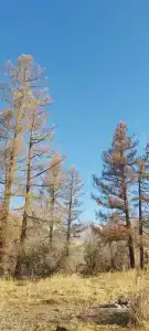 Алтынсай - 47