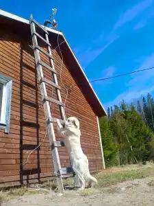 Точка Немо - 20