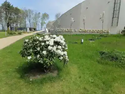 Тройка ФСИН РФ - 29