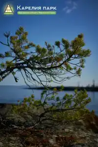Карелия Парк - 15