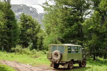 Альмон - 64