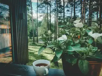 Стеклянный берег - 68
