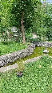 Золотая Рыбка - 7