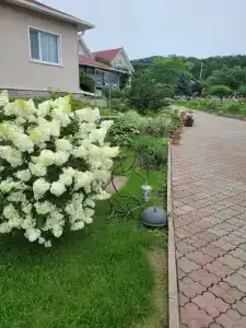 АкваФьюжн - 9