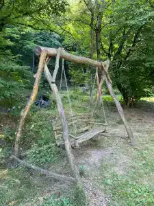 Лесная поляна - 1