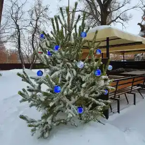 Холидей - 29