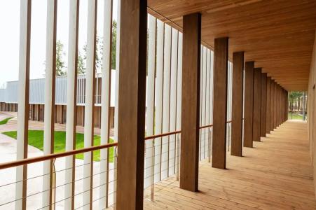 Игора. Времена года - 5