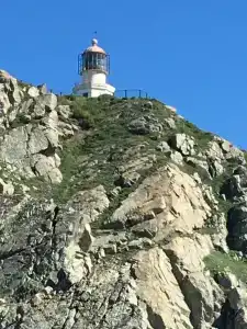Морской бриз в Шепалово - 3