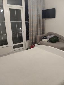 Green Garden - 41