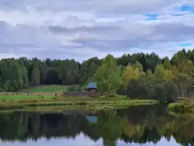 Маркомусы - 58