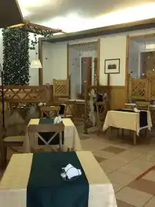 Алиса - 11