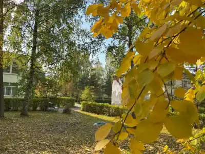 Зелёный остров - 17