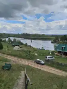 Потапыч - 13