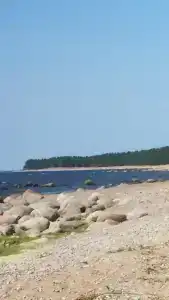 Бухта желтая - 61