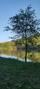 Клёвое место - 28