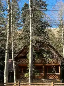 Лесной дом - 26