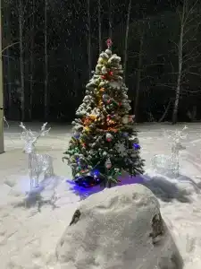 Орлец - 35