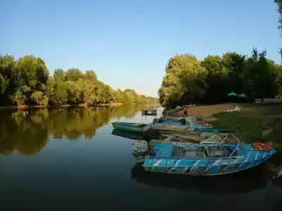 Астра - 22