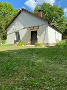 Лесная поляна - 5