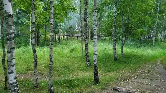 Причал - 6