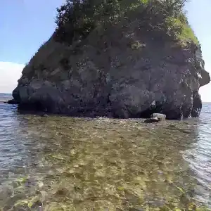 Зелёная полянка - 8