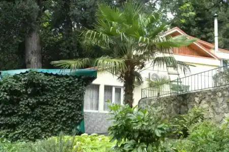 Дома в парке - 8