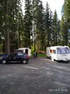 Лесная Поляна - 12