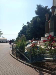 Бартон Парк - 60