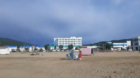 Звезда моря - 10