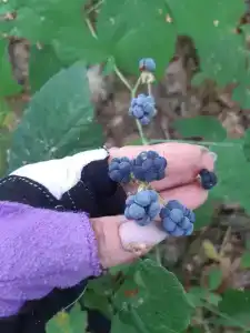Пристань - 13