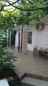 горный - 12