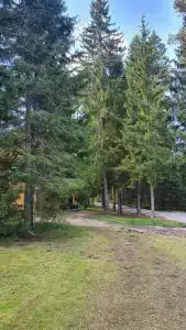 Аврора - 67