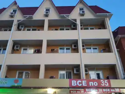 Дельфина - 36