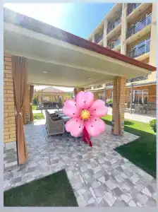 Panoramic Spa - 13