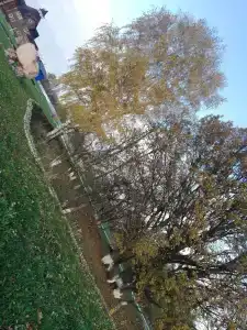 Живые Родники - 62