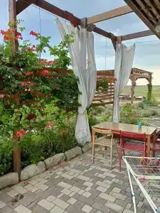 Фридом Веселовка - 26