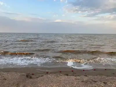 Ассоль - 9