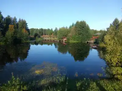 Боры - 22