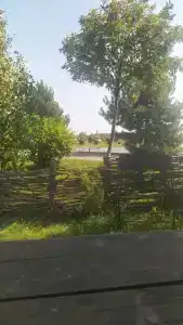 Ихтиолог - 44