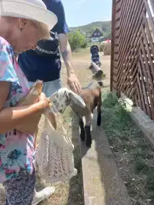 Страусиная ферма Экзотик - 62