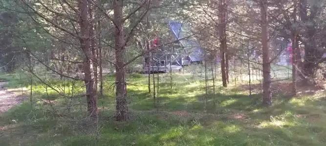 Тишина - 61