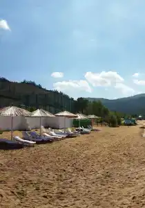 Березовая роща - 0