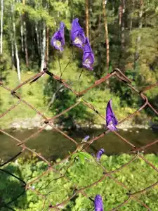 Под мухой - 6