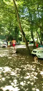 St. Agria - 4