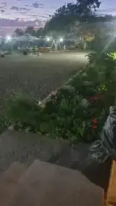 Ассоль - 21
