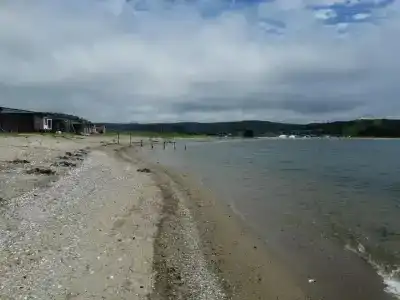 Зелёная полянка - 3